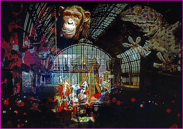 Paradiso (Amsterdam)