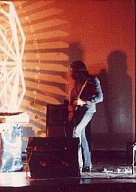 Acidica Lights
