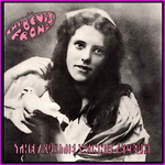 Bevis Frond - The Auntie Winnie Album