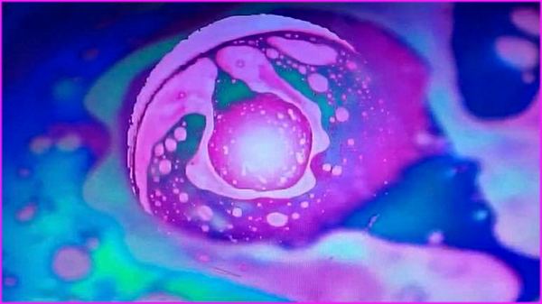 dwavehed visuals