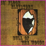 The 13th Floor Elevators - Bull Of The Woods