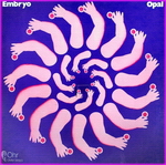 Embryo - Opal