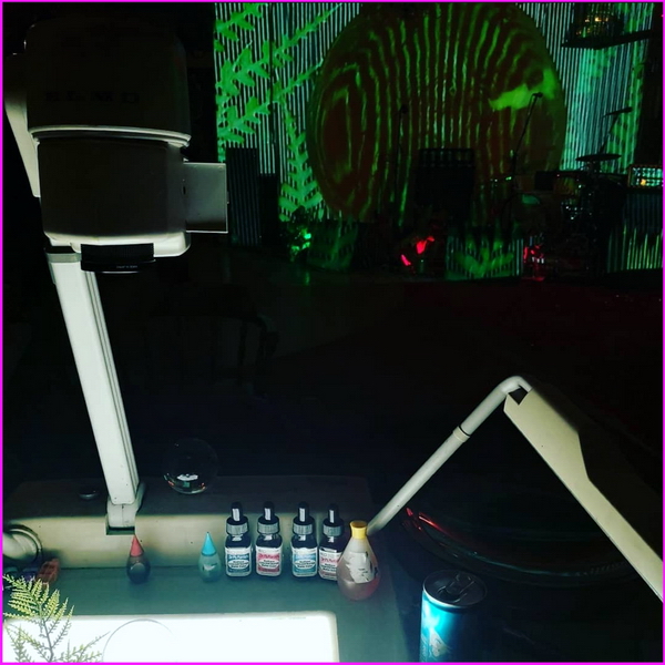 Ghost House Light Show