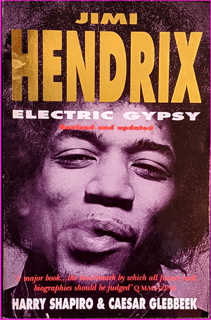 Jimi Hendrix: Electric Gypsy - Harry Shapiro, Caesar Glebbeek