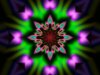 Optical Delusion