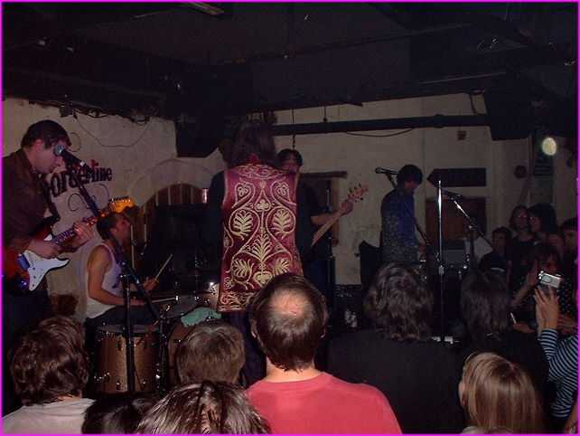 The Seeds,
The Borderline,
Orange Yard, London
17th June 2003