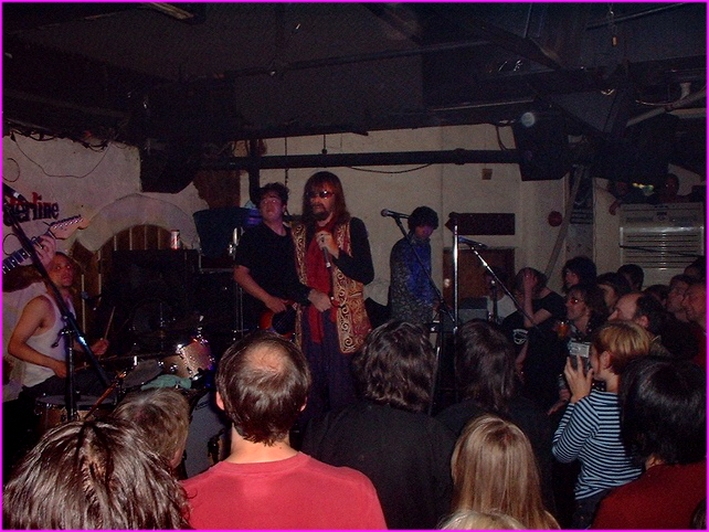 The Seeds,
The Borderline,
Orange Yard, London
17th June 2003